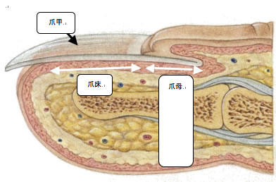 健康15